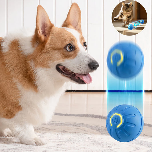 Smart Pet Ball