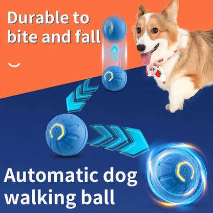 Smart Pet Ball