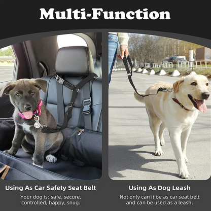 PawGuard™ – Pet & Seat Protection